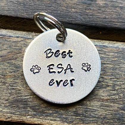 DOG or CAT tag, “Best ESA ever”..